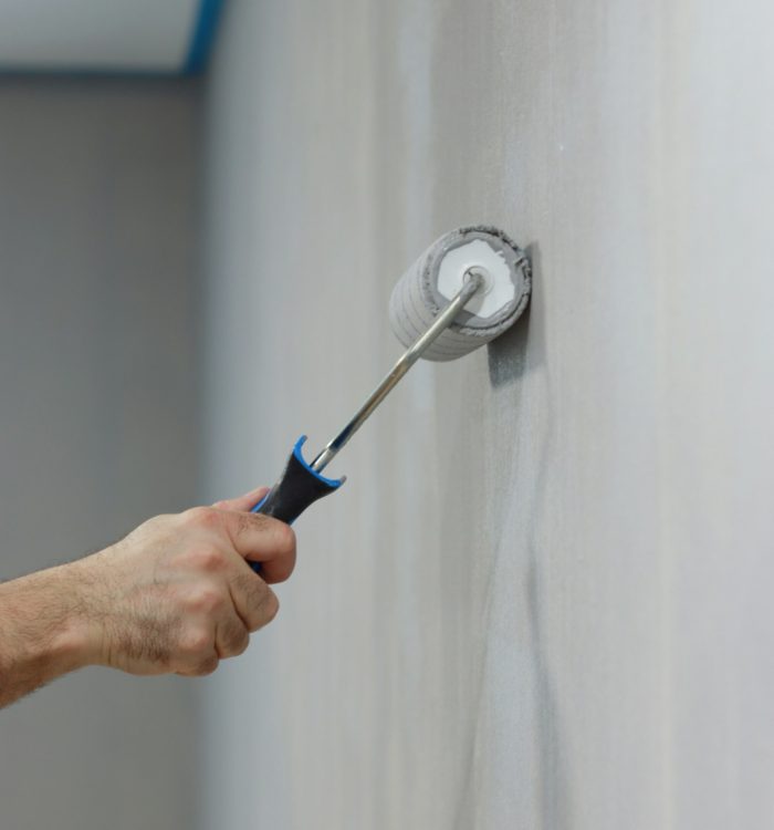 Home improvement, painting wall, home, renovation, work, job, working.