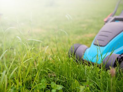 Lawn mower machine in garden. Garden and lawn care theme. Care services area