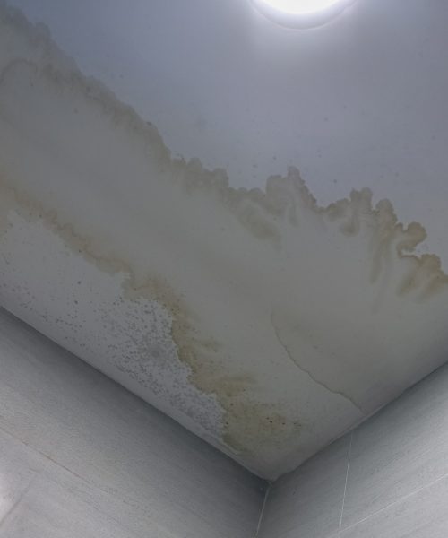Water stain on the ceiling