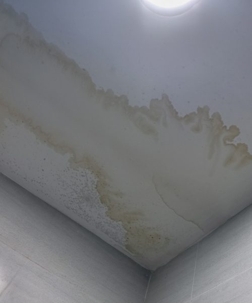 Water stain on the ceiling